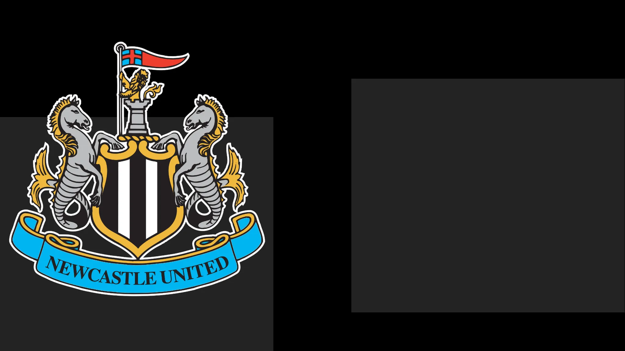 NUFC Issue Apology to Fans Following Matchday Issue