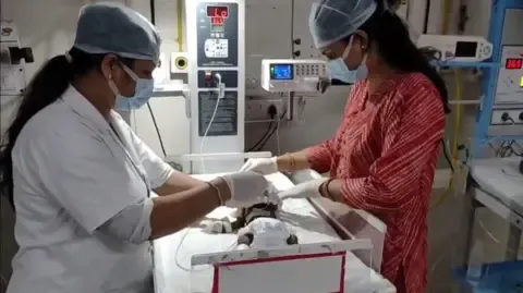 Baby Interred Alive in the Country Battles for Survival