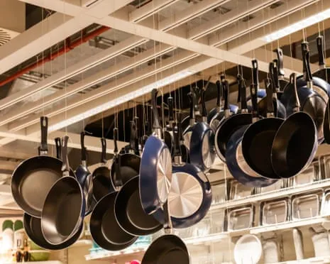 Teflon Diet, Aromatic Lactation and Striped Cattle Shine at This Year's Ig Nobel Prizes