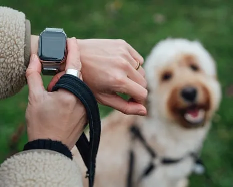 The Reality About Wearable Tech? Life Is Better Without a Nagging Device on Your Wristwear